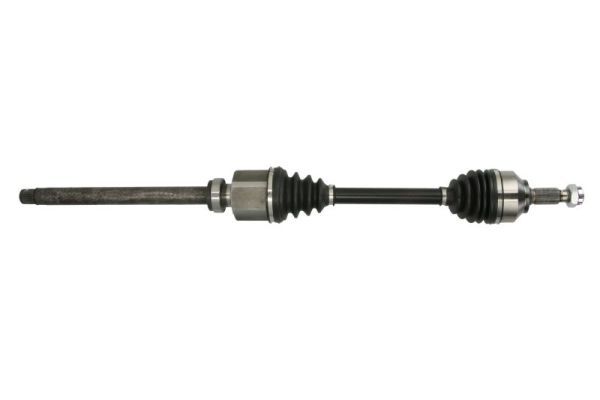 PASCAL G2C181PC Drive Shaft