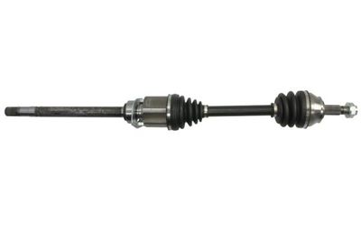 Drive Shaft PASCAL G2D009PC