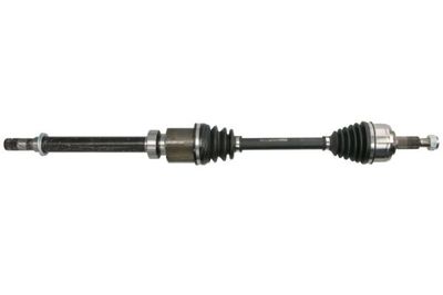 Drive Shaft PASCAL G2E020PC