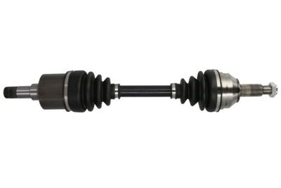 Drive Shaft PASCAL G2G005PC