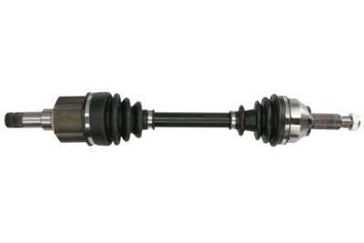 Drive Shaft PASCAL G2G024PC