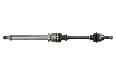 Drive Shaft PASCAL G2G081PC