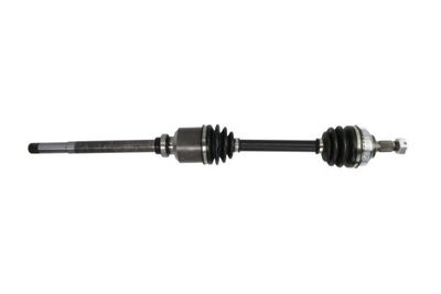 Drive Shaft PASCAL G2P026PC