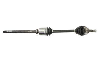 Drive Shaft PASCAL G2X020PC
