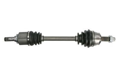 Drive Shaft PASCAL G2X035PC