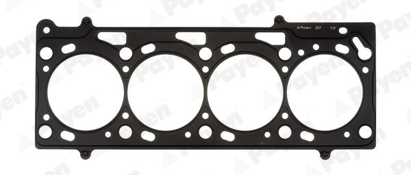 PAYEN AC5280 Gasket, cylinder head