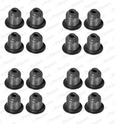 PAYEN HR5045 Seal Set, valve stem