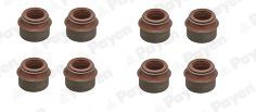 PAYEN HR569 Seal Set, valve stem