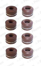 PAYEN HR756 Seal Set, valve stem