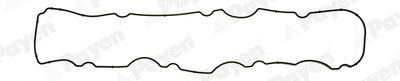 Gasket, cylinder head cover PAYEN JM5088