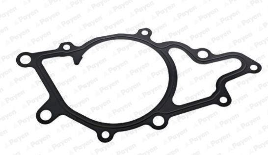 PAYEN KA5036 Gasket, water pump