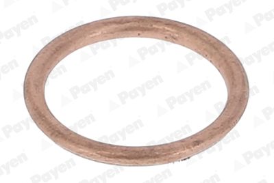Seal Ring, oil drain plug PAYEN KJ647