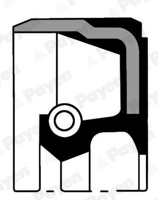 PAYEN NA5191 Shaft Seal, crankshaft