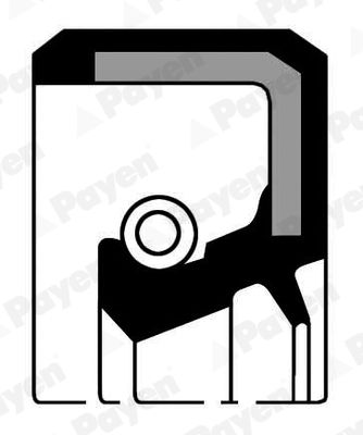 PAYEN NA5192 Shaft Seal, crankshaft