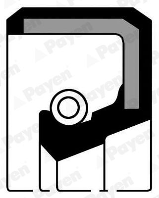 PAYEN NF369 Shaft Seal, differential