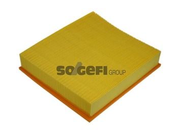 PURFLUX A1087 Air Filter