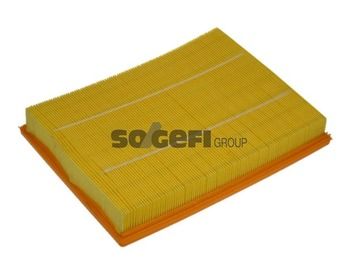 PURFLUX A1167 Air Filter
