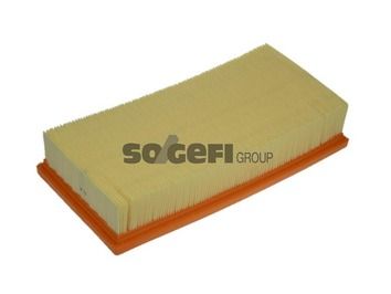 PURFLUX A1365 Air Filter