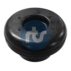 RTS 017-00252 Mounting, control/trailing arm