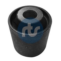 RTS 017-01009 Mounting, control/trailing arm
