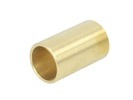 S-TR STR-120809 Mounting, leaf spring