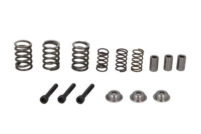Repair Kit, differential SBP 02-AG060