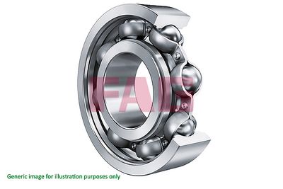 Bearing Schaeffler FAG 6205.2RSR
