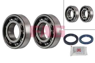 Wheel Bearing Kit Schaeffler FAG 713 6220 50