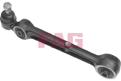 Control/Trailing Arm, wheel suspension Schaeffler FAG 821 0004 10