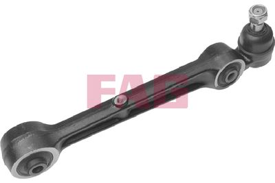 Control/Trailing Arm, wheel suspension Schaeffler FAG 821 0005 10