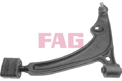 Control/Trailing Arm, wheel suspension Schaeffler FAG 821 0052 10