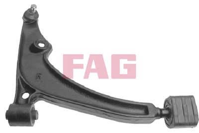 Control/Trailing Arm, wheel suspension Schaeffler FAG 821 0053 10