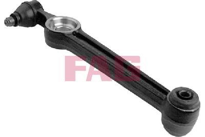 Control/Trailing Arm, wheel suspension Schaeffler FAG 821 0056 10