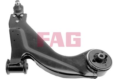 Control/Trailing Arm, wheel suspension Schaeffler FAG 821 0262 10