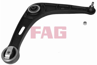 Control/Trailing Arm, wheel suspension Schaeffler FAG 821 0321 10