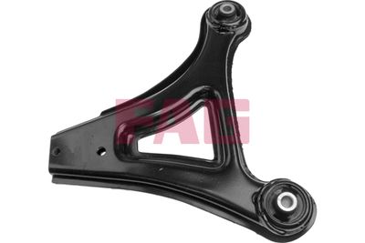 Control/Trailing Arm, wheel suspension Schaeffler FAG 821 0456 10