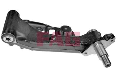 Control/Trailing Arm, wheel suspension Schaeffler FAG 821 0631 10