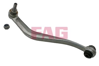 Control/Trailing Arm, wheel suspension Schaeffler FAG 821 0976 10