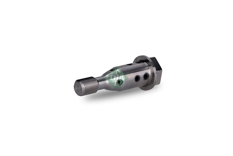 Schaeffler INA 427 0021 10 Central Valve, camshaft adjustment