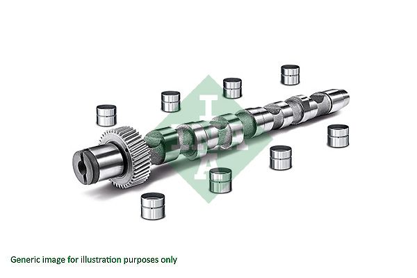 Schaeffler INA 428 0014 30 Camshaft Kit
