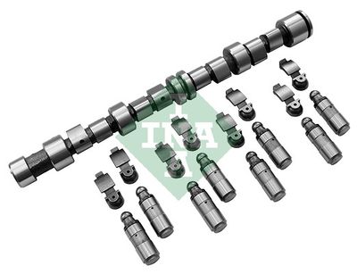 Camshaft Kit Schaeffler INA 428 0043 30