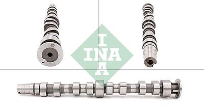 Camshaft Schaeffler INA 428 0172 10