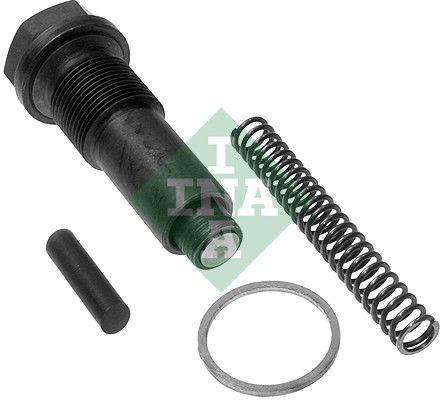 Schaeffler INA 551 0122 10 Tensioner, timing chain