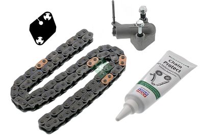 Timing Chain Kit Schaeffler INA 559 1008 10