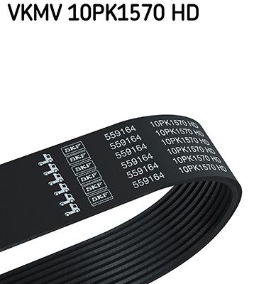 SKF VKMV 10PK1570 HD V-Ribbed Belt
