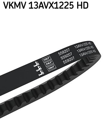 SKF VKMV 13AVX1225 HD V-Belt