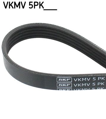 SKF VKMV 5PK785 V-Ribbed Belt