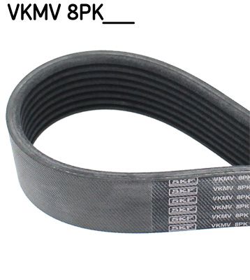 SKF VKMV 8PK1162 R V-Ribbed Belt