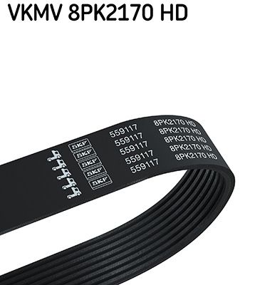 V-Ribbed Belt SKF VKMV 8PK2170 HD