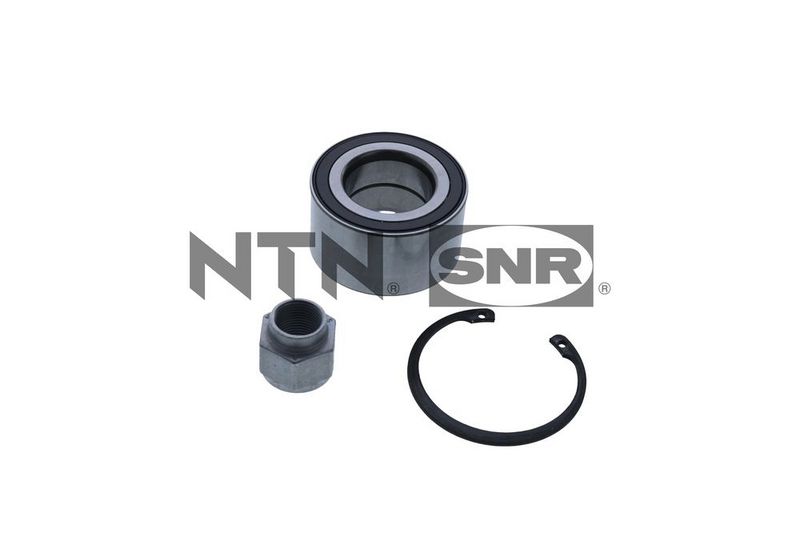 SNR R159.100 Wheel Bearing Kit